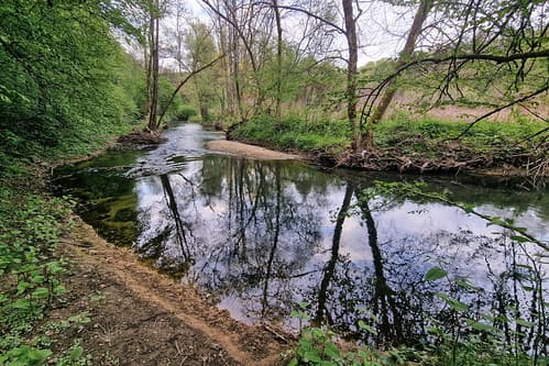 Chiers river near Cons-la-Grandville