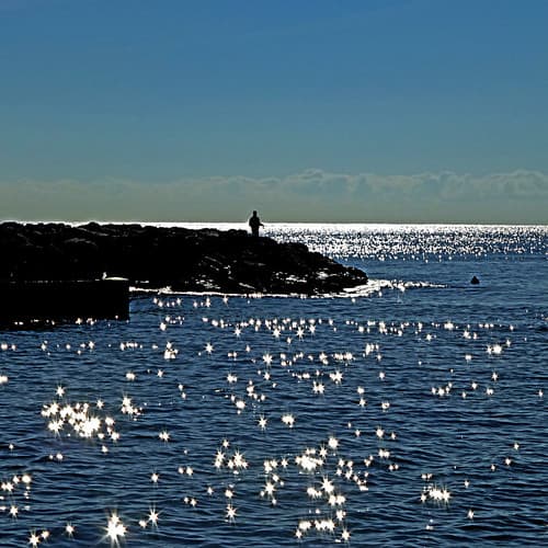 Étoiles de  Mer