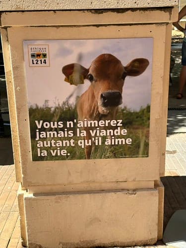 Affichage éphémère