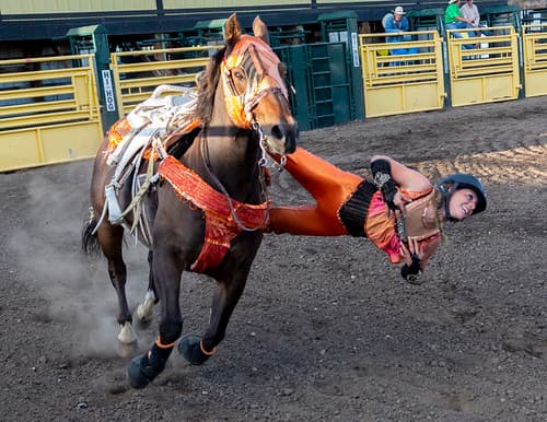 Calgary Canada- Rodeo