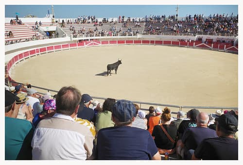 Courses de Tau