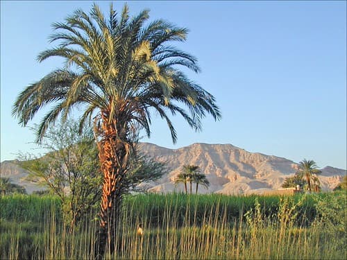La montagne thébaine (Egypte)