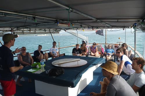 Free diving 005