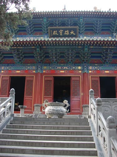 2009-07-08_15-59-21_DSC-H2_DSC08615