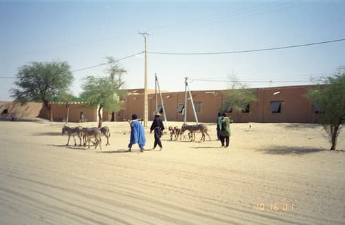 Timbuktu Herders
