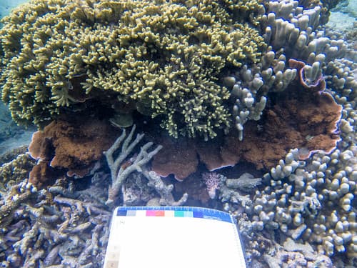 GCMP_sample_photo_2848