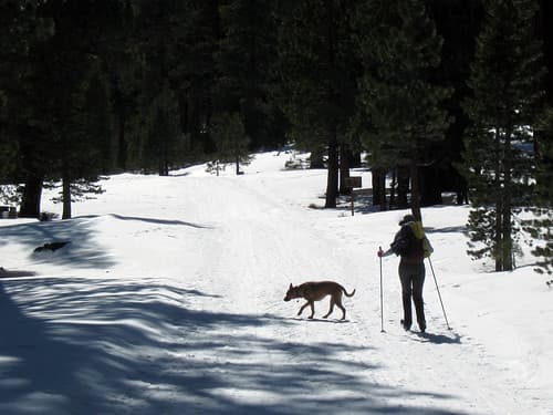 Nordic skiing at Mammoth