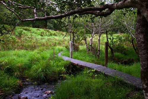 Kerry Trail - Killarney National Park 33