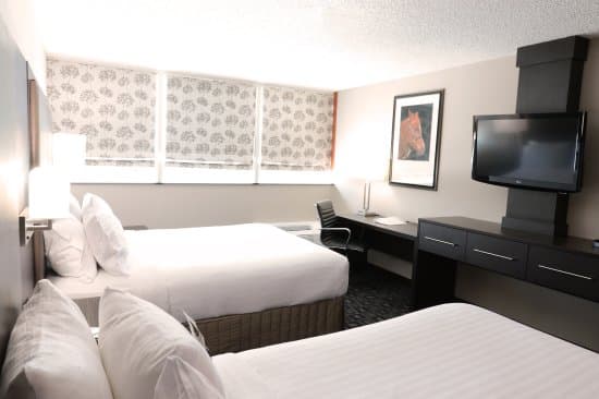 HOTEL HOLIDAY INN HURSTBOURNE I 64 EAST – vue 5