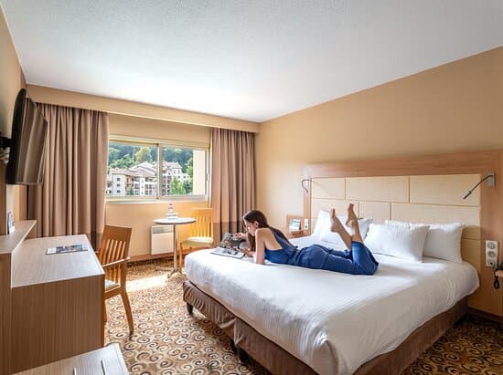 HOTEL LYON METROPOLE &AMP; SPA – vue 4