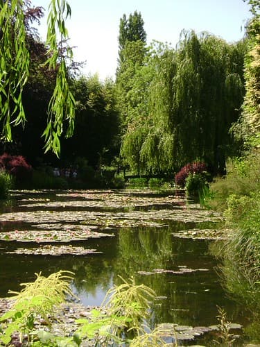 Giverny 955