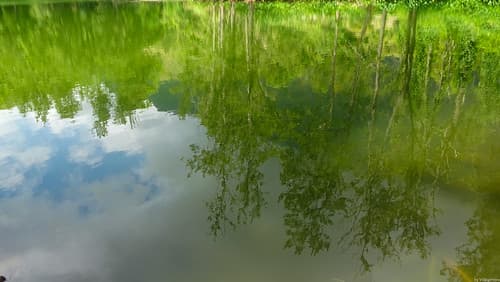 Mare à Poule d'eau Reflections