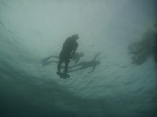 Free diving 037