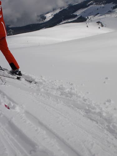 Powder!