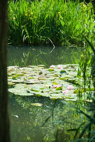 Giverny-Chris119
