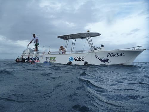 Free diving 023