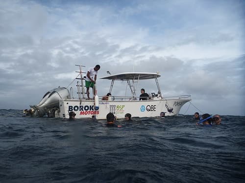 Free diving 041