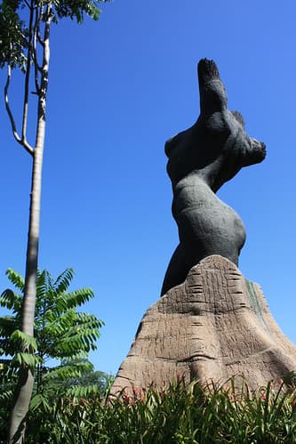 Mujer Ceiba