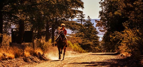 JINETE EN LAS MONTAÑAS