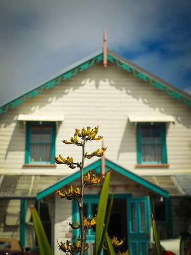 New Zealand colon house