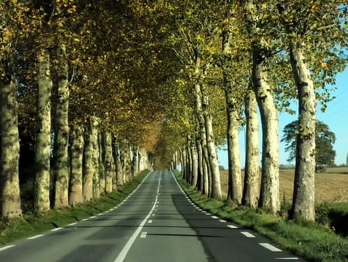 France travel — photo de alex ranaldi