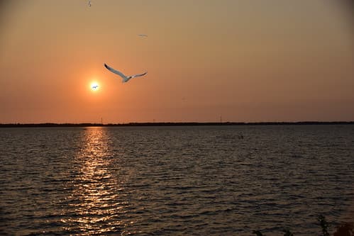 Sunset_Negombo_1