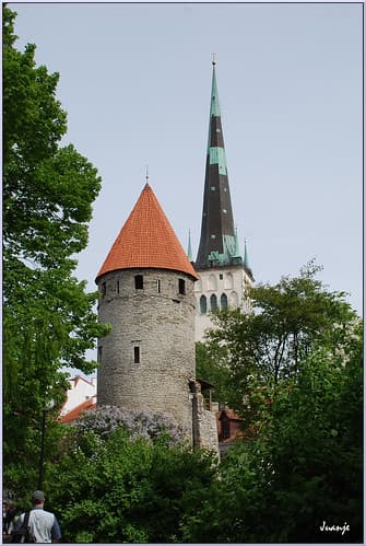 🇪🇪 🇪🇺 Murallas (Tallin, Estonia, 10-6-2015) ⭐⭐⭐⭐