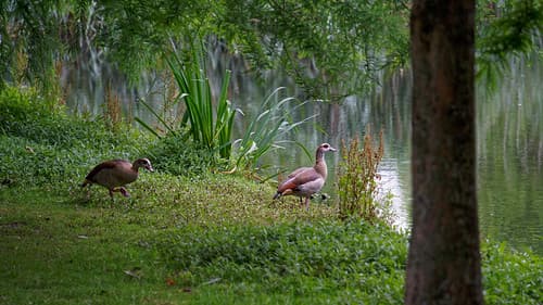 2021-07-24_15-40-31_ILCE-7C_DSC06862_DxO