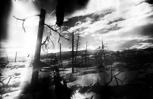 Damage and heavy loss