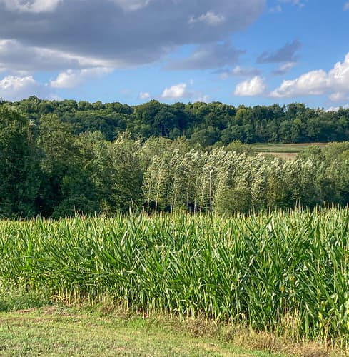 Rural France