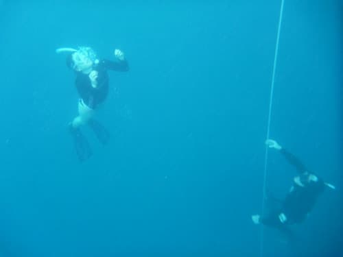 Free diving 020