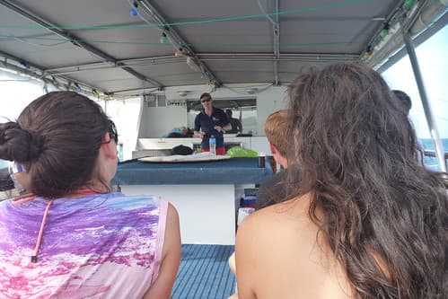 Free diving 014