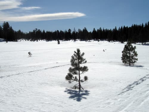 Nordic skiing at Mammoth