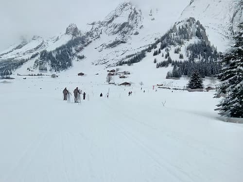 IMG_20150224_160616_1