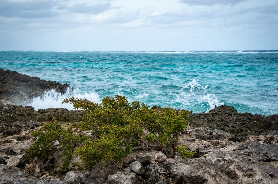 Album photo Photos — Providenciales et Grand Turk