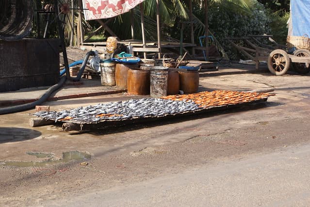 Album photo Un dimanche à la façon cambodgienne