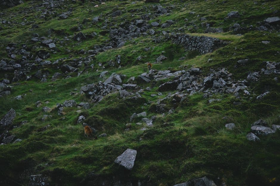 Album photo Photos — Cork