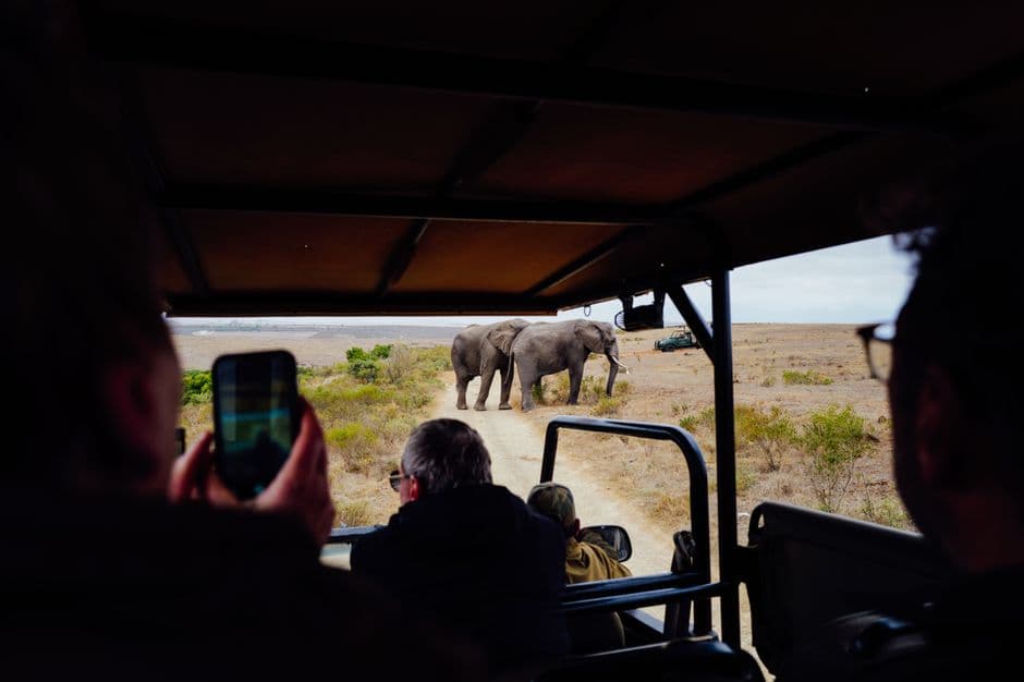 Album photo Photos — Le Cap & Parc Kruger
