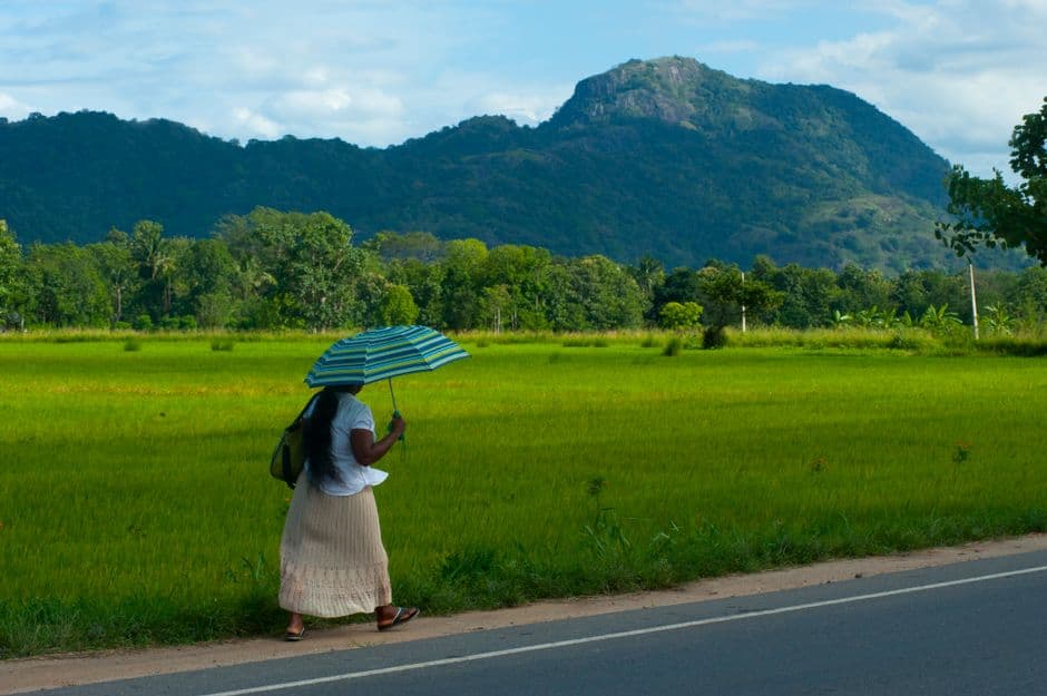 Album photo Le Sri Lanka à pied