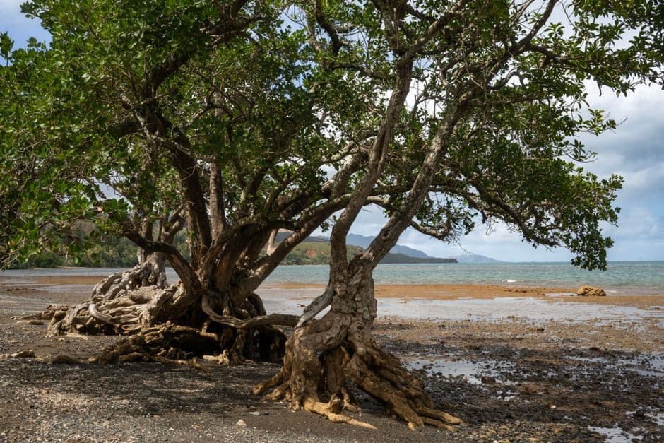 Album photo voyage en caledonie