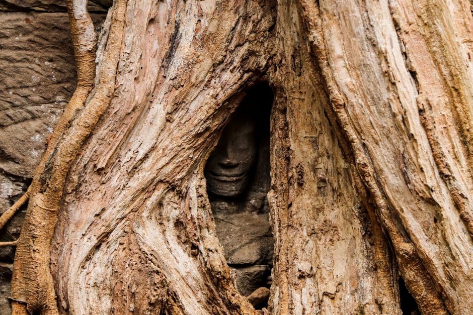 Album photo Les racines d'Angkor