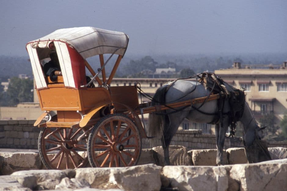 Album photo Photos — Egypte