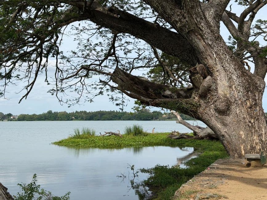 Album photo Photos — Kandy