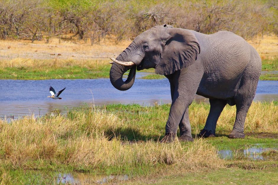 Album photo Photos — Maun