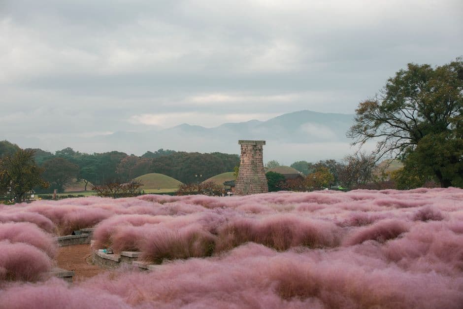 Album photo Gyeongju - Trésors à Flanc de Montagne