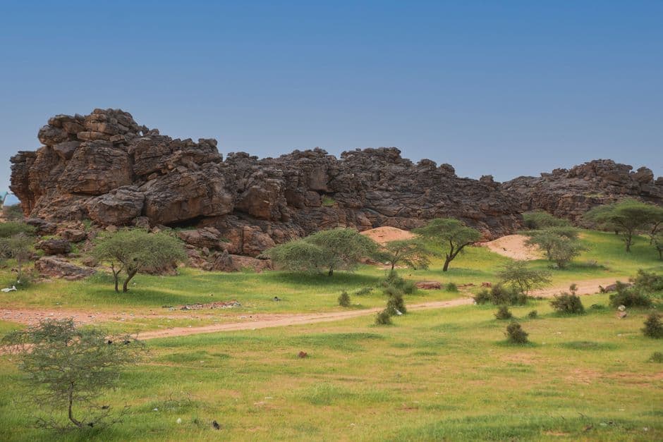 Album photo Photos — Djibouti (ville + Lac Assal + Tadjourah)