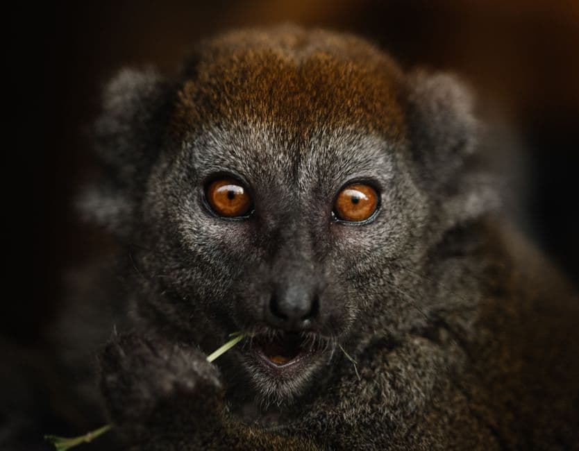 Album photo Photos — Antananarivo et Nosy Be