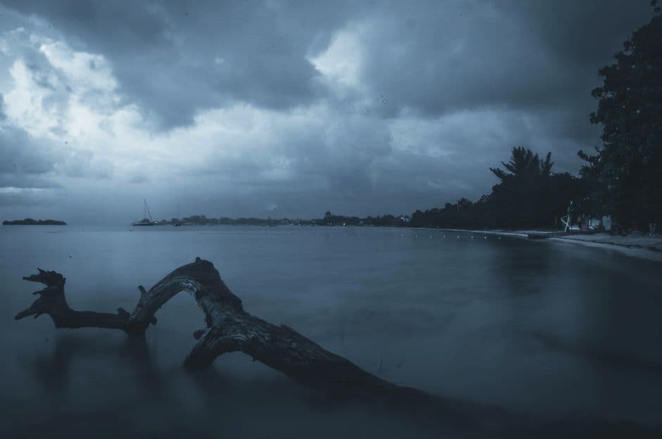 Album photo Photos — Montego Bay