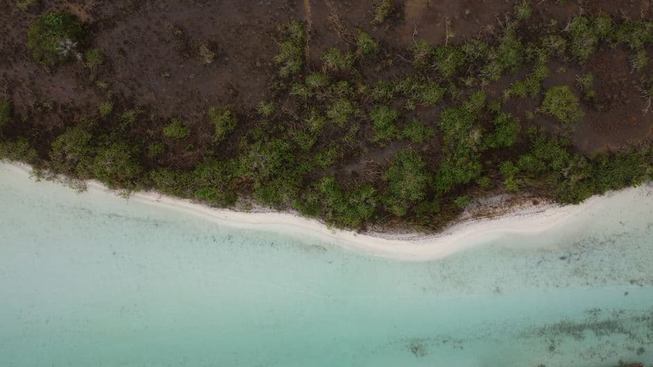Album photo LIFOU, un rêve