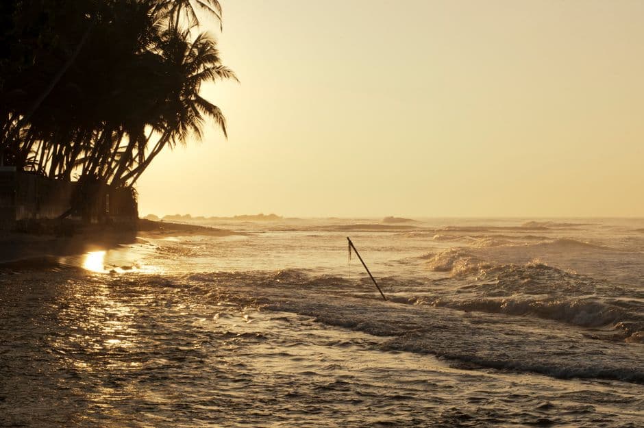 Album photo Voyage Sri Lanka